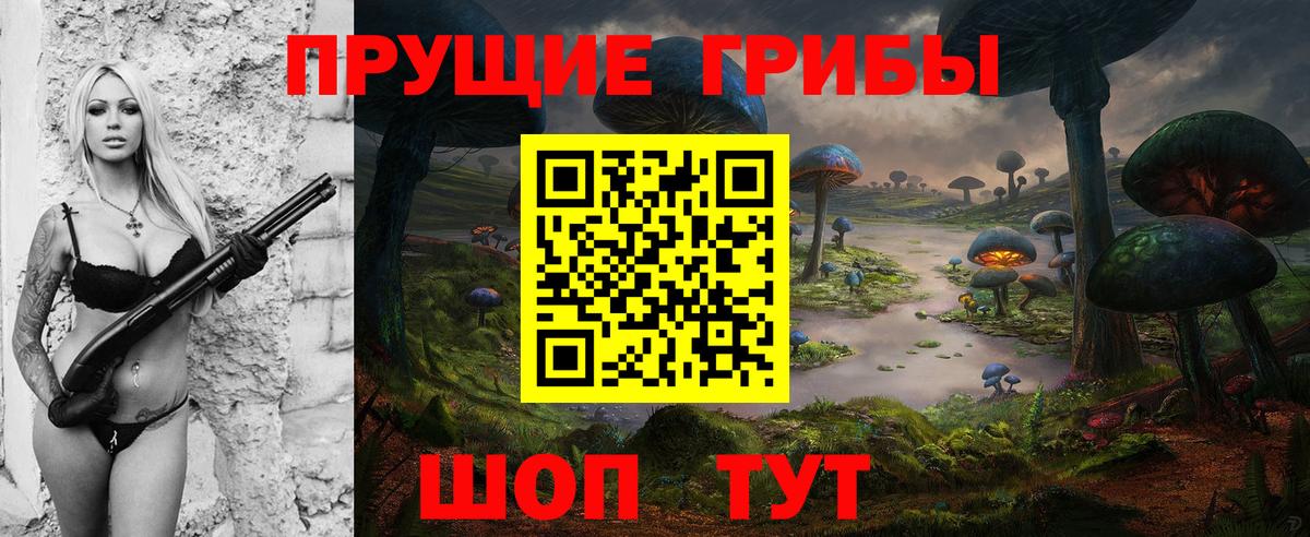 Псилоцибиновые грибы мицелий  Вход с VPN  Рассказово 