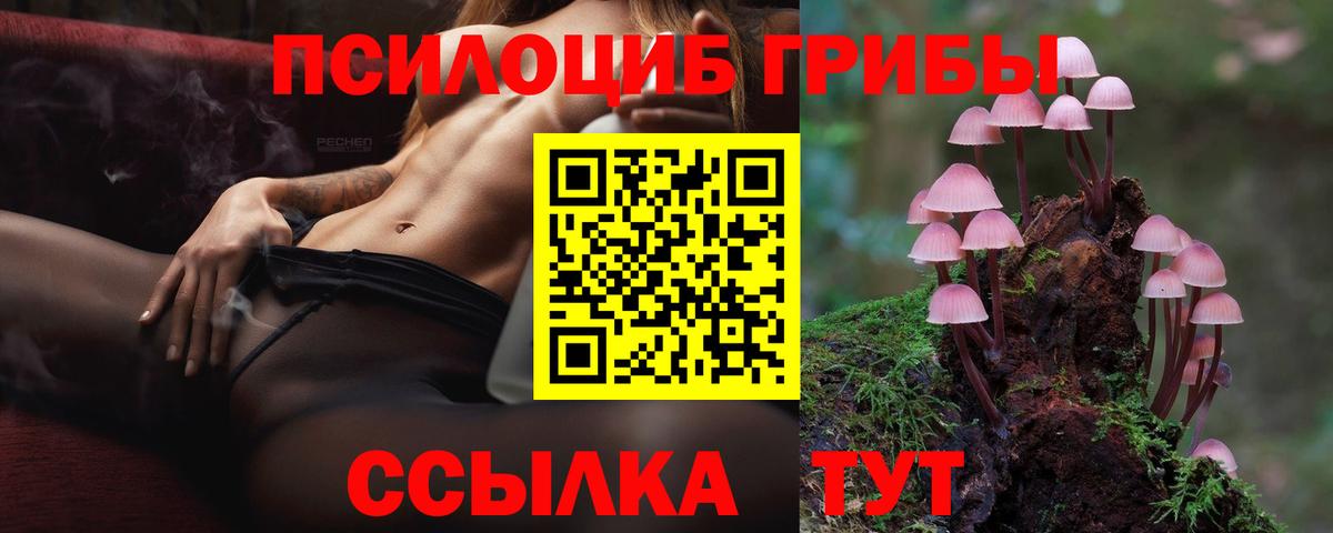 Галлюциногенные грибы Psilocybine cubensis Рассказово